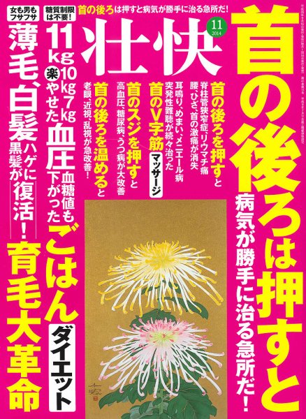 壮快 2014年11月号 (発売日2014年09月16日) 表紙