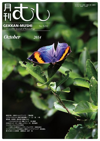 月刊むし 524 (発売日2014年09月22日) 表紙