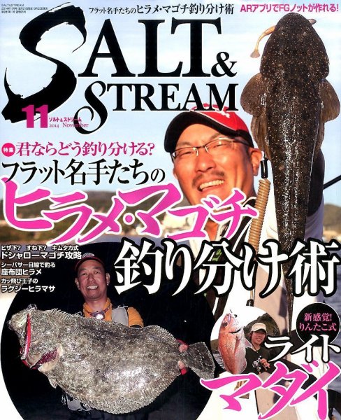 SALT＆STREAM（ソルト＆ストリーム） 2014年11月号 (発売日2014年09月20日) 表紙