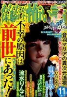 あなたが体験した怖い話 2014年11月号 表紙