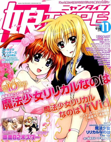 娘TYPE （にゃんタイプ） 2014年11月号 (発売日2014年09月30日) 表紙