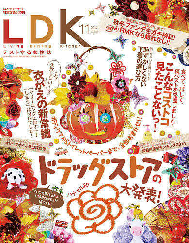 オファー ldk 雑誌 下着