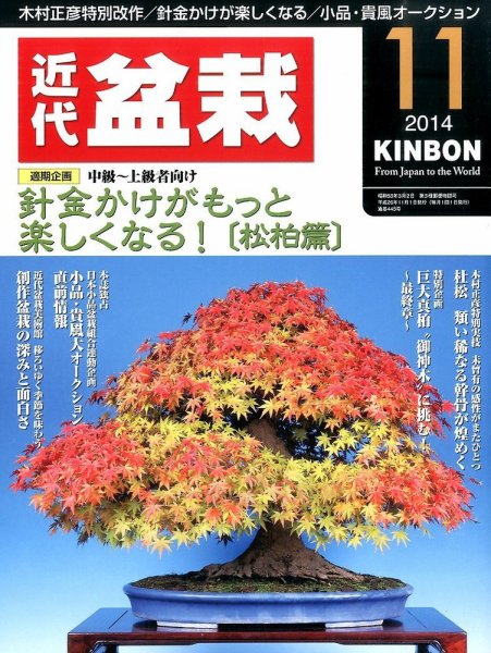 月刊 近代盆栽 2014年11月号 (発売日2014年10月04日) 表紙