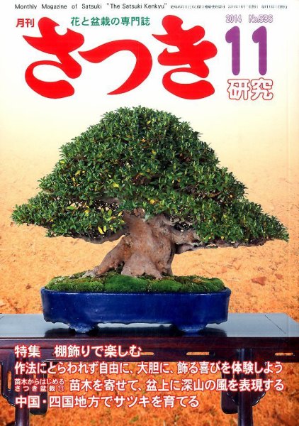 さつき研究 2014年11月号 (発売日2014年10月04日) 表紙