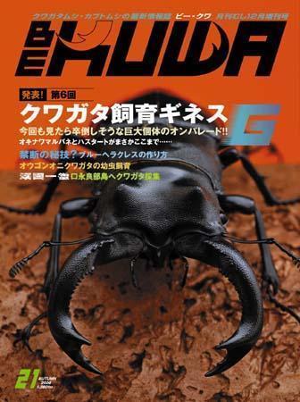 BE KUWA ビークワ No.41 第11回クワガタ飼育ギネスコンテスト