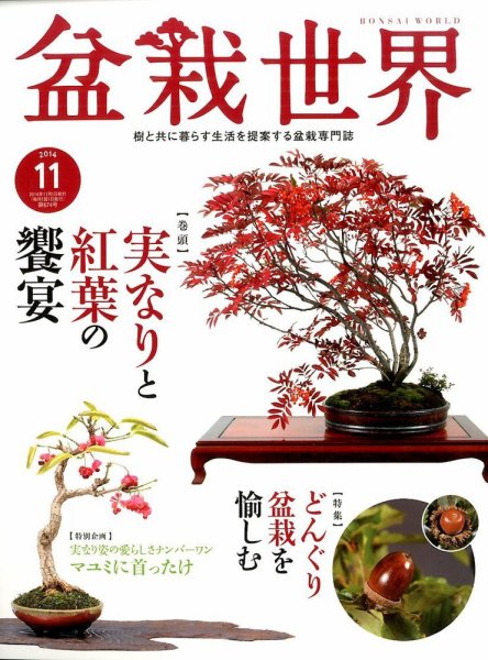 盆栽世界 2014年11月号 (発売日2014年10月04日) 表紙