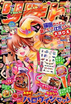 35 Off りぼん 14年10月 16年9月 まとめ売り 合計24冊 少女漫画