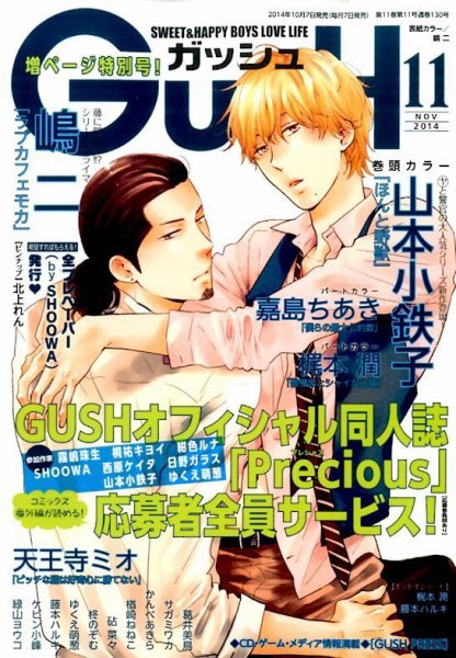 GUSH（ガッシュ） 2014年11月号 (発売日2014年10月07日) 表紙