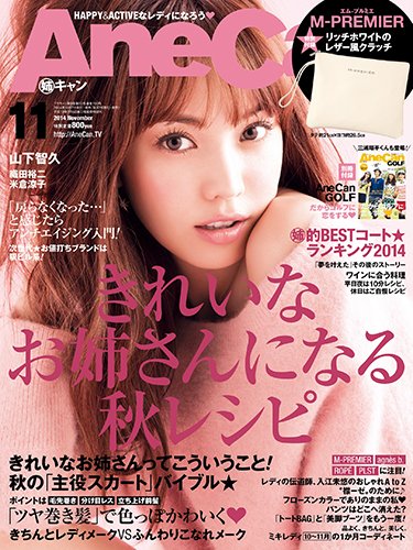 AneCan（姉キャン） 2014年11月号 (発売日2014年10月07日) 表紙