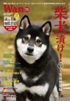 wan（わん） 2014年11月号 (発売日2014年10月14日) 表紙