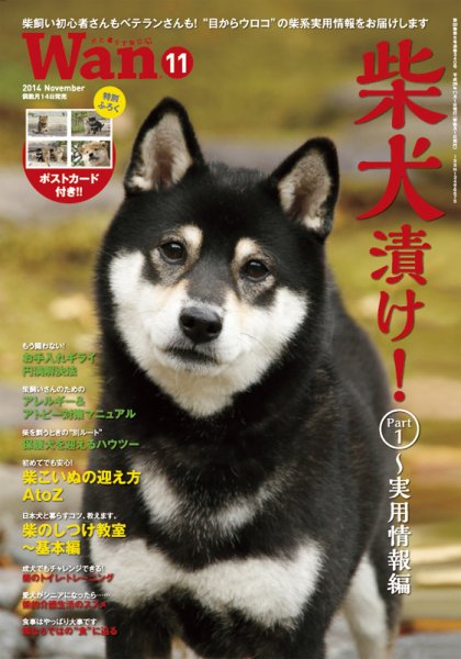 wan（わん） 2014年11月号 (発売日2014年10月14日) 表紙