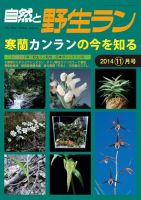 園芸Japan 2014年11月号 表紙