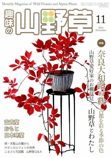 趣味の山野草 2014年11月号 (発売日2014年10月11日) 表紙