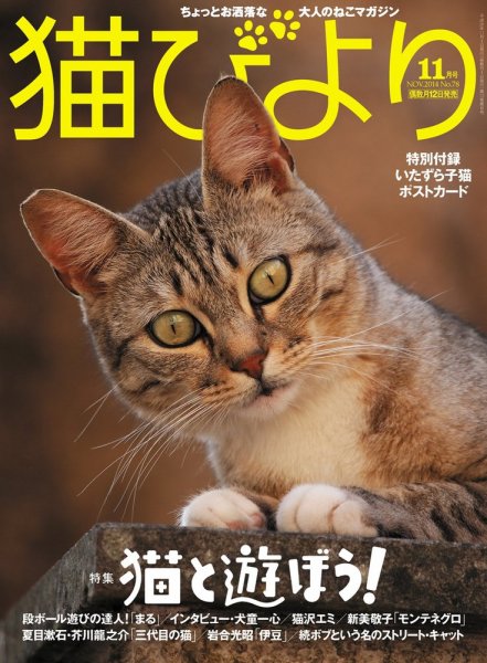 猫びより 78号 (発売日2014年10月11日) 表紙