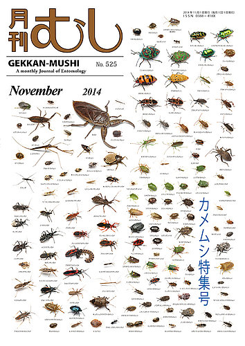 新品未使用　日本の迷蝶大図鑑 むし社　月刊むし　昆虫大図鑑シリーズ　　希少　蝶々 Amazon.co.jp: 超 世界の迷蝶ヒトリガ 図鑑 むし社 月刊むし
