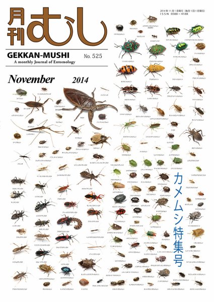 月刊むし 525 (発売日2014年10月21日) 表紙