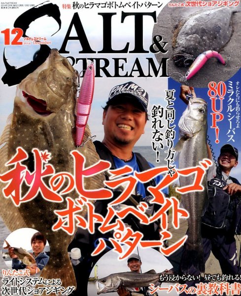 SALT＆STREAM（ソルト＆ストリーム） 2014年12月号 (発売日2014年10月21日) 表紙