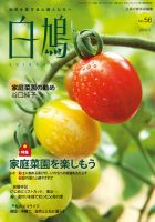 白鳩 No.56 表紙