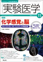 実験医学 Vol.32No.18 表紙