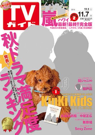 週刊TVガイド鹿児島・宮崎・大分版 2014年11/7号 (発売日2014年10月29日) 表紙