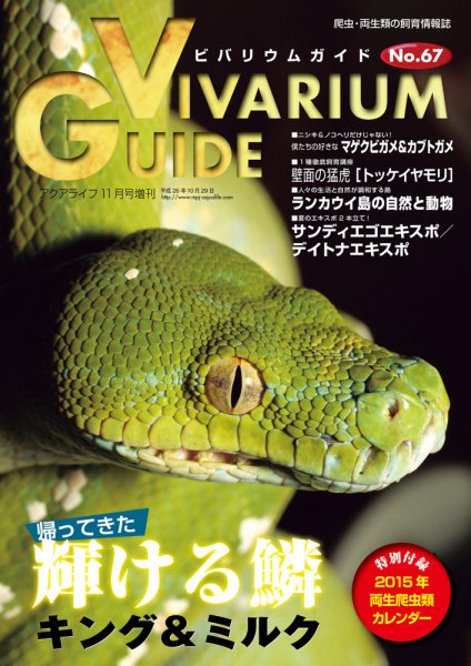 ビバリウムガイド 67号 (発売日2014年10月26日) 表紙