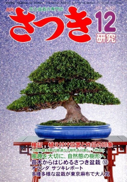 さつき研究 2014年12月号 (発売日2014年11月05日) 表紙