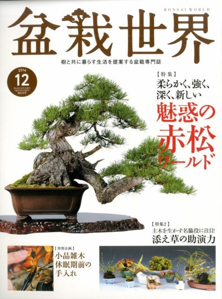盆栽世界 2014年12月号 (発売日2014年11月04日) 表紙