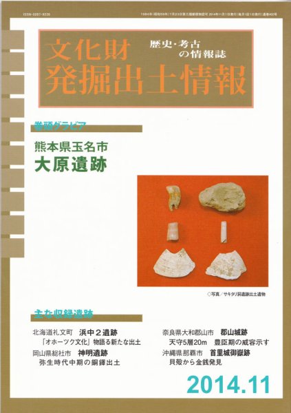 文化財発掘出土情報 11月号 (発売日2014年11月01日) 表紙