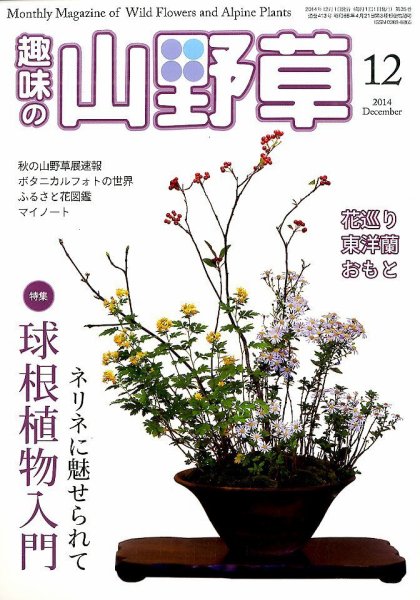 趣味の山野草 2014年12月号 (発売日2014年11月12日) 表紙