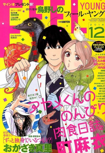 フィールヤング 2014年12月号 (発売日2014年11月08日) 表紙