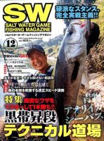 SALT WATER GAME 2014年12月号 (発売日2014年11月10日) 表紙