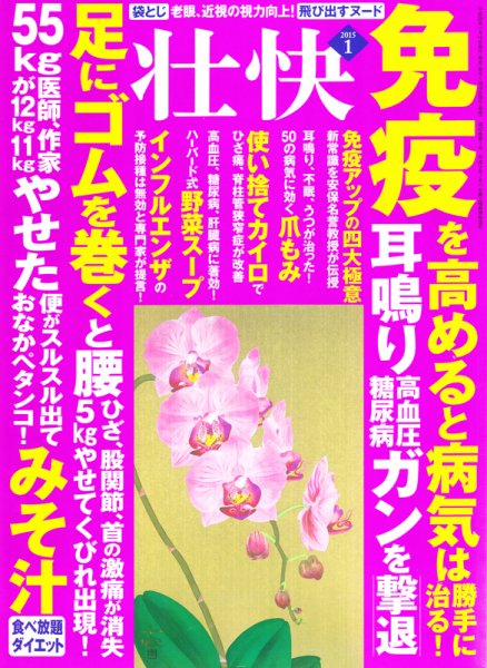壮快 2015年1月号 (発売日2014年11月15日) 表紙