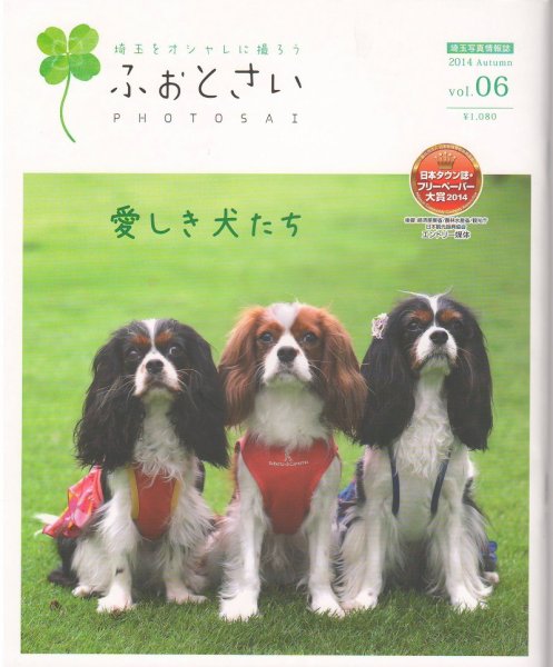 PHOTOSAI（ふぉとさい） Vol.06 (発売日2014年09月27日) 表紙