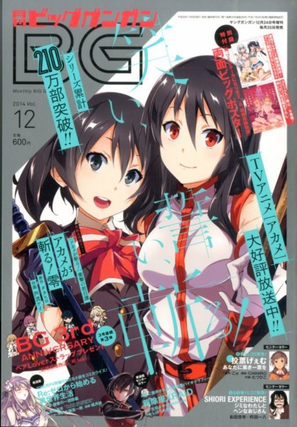ビッグガンガン 2014年12/24号 (発売日2014年11月25日) 表紙