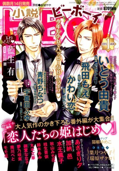 小説b-boy (ビーボーイ) 2015年1月号 (発売日2014年12月13日) 表紙