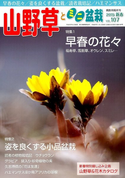 山野草とミニ盆栽 2015年1月号 (発売日2014年12月12日) 表紙