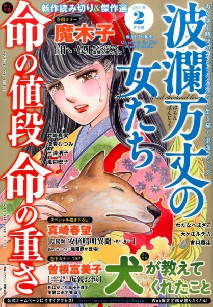 波乱万丈の女たち 2015年2月号 (発売日2014年12月17日) 表紙