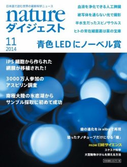 ☆2014/10専用☆ 10/20 23:59 まで専用です カワサキ（KAWASAKI