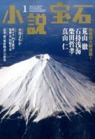 小説宝石 2015年1月号 表紙