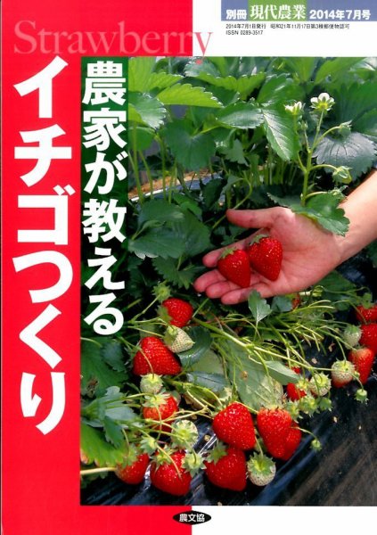 増刊 現代農業 農家が教えるイチゴつくり (発売日2014年06月23日) 表紙