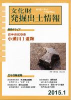 文化財発掘出土情報 １月号 表紙
