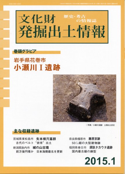 文化財発掘出土情報 １月号 (発売日2015年01月01日) 表紙