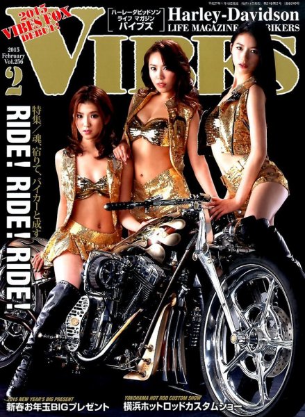 VIBES（バイブズ） 2015年2月号 (発売日2015年01月10日) 表紙