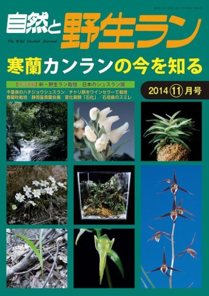 園芸Japan 2014年11月号 (発売日2014年10月11日) 表紙