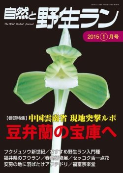 雑誌/定期購読の予約はFujisan 雑誌内検索：【春蘭】 が園芸Japanの2014年12月12日発売号で見つかりました！