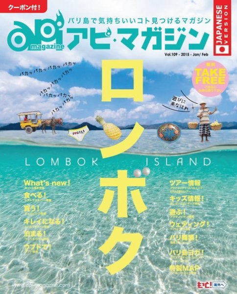 Api Magazine（アピ・マガジン） vol.109 (発売日2015年01月20日) 表紙