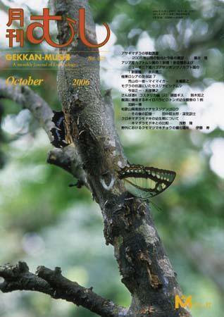 月刊むし 428 (発売日2006年09月20日) 表紙