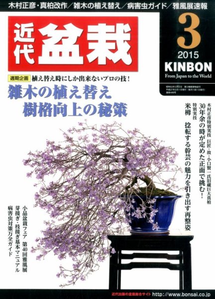 月刊 近代盆栽 2015年3月号 (発売日2015年02月04日) 表紙