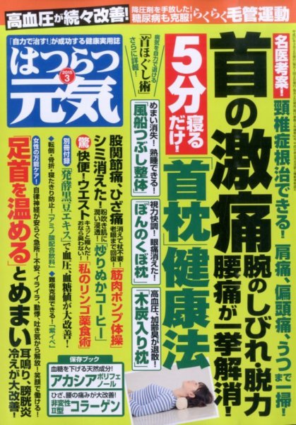 はつらつ元気 2015年3月号 (発売日2015年02月02日) 表紙
