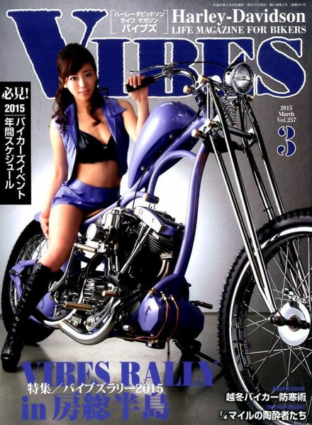VIBES（バイブズ） 2015年3月号 (発売日2015年02月10日) 表紙